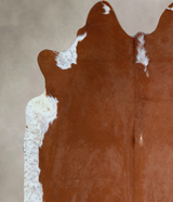 Brown and White Regular X-Large Brazilian Cowhide Rug 7'4"H x 6'10"W #A43502 by Hudson Hides