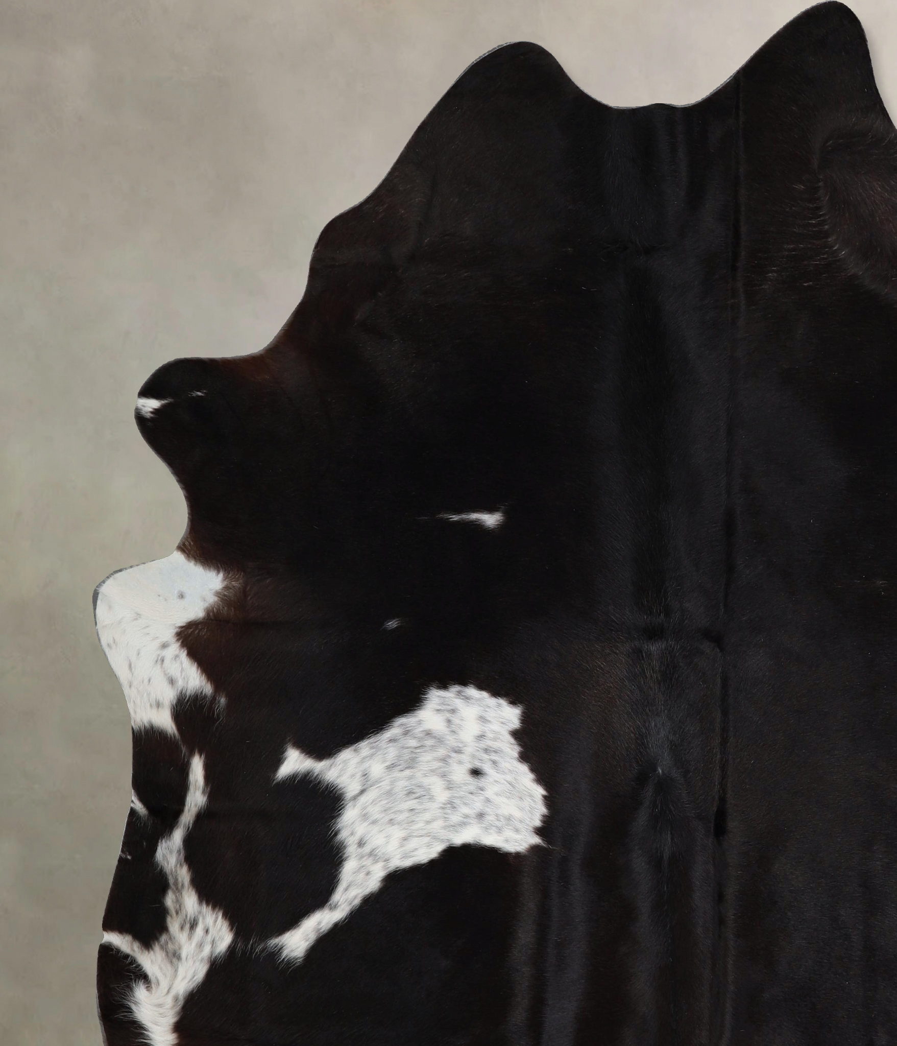 Chocolate and White Cowhide Rug #A43511