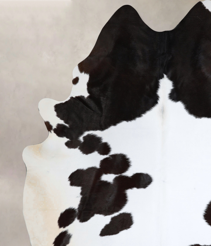 Black and White XX-Large Brazilian Cowhide Rug 8'9"H x 7'5"W #A43514 by Hudson Hides