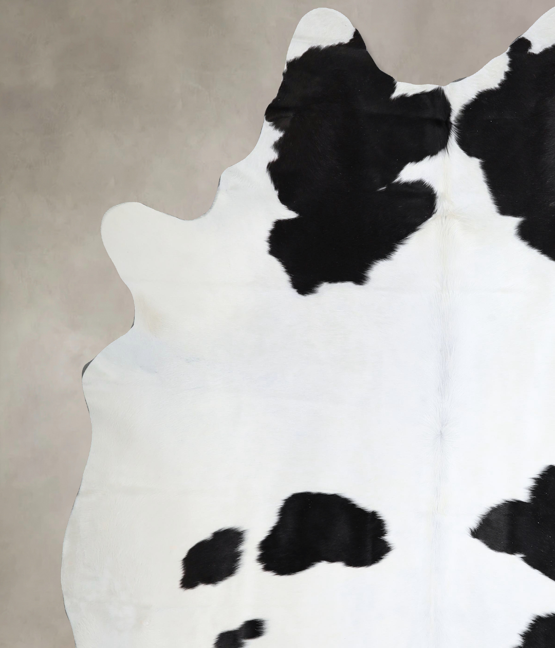 Black and White XX-Large Brazilian Cowhide Rug 8'2"H x 7'5"W #A43524 b