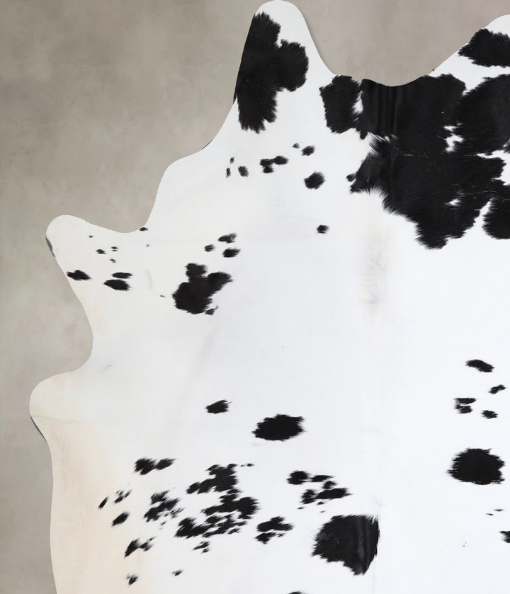 Black and White XX-Large Brazilian Cowhide Rug 8'2"H x 6'11"W #A43527 by Hudson Hides