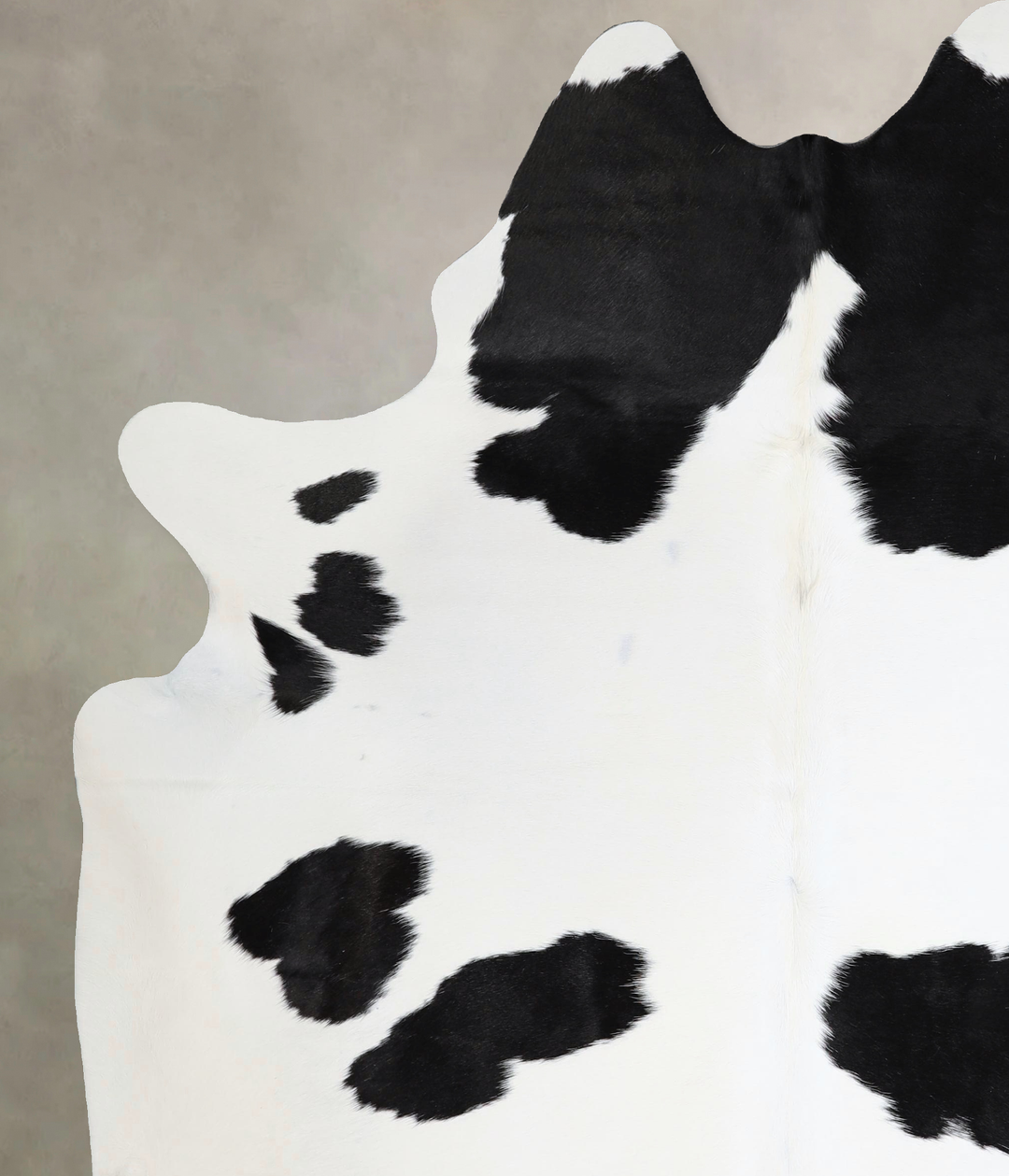 Black and White X-Large Brazilian Cowhide Rug 7'11"H x 6'3"W #A43532 b