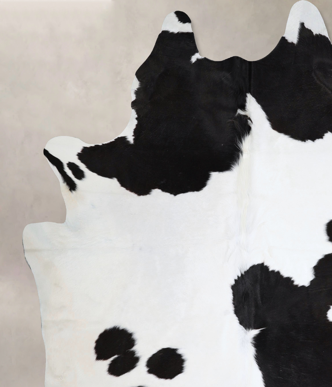 Black and White XX-Large Brazilian Cowhide Rug 7'11"H x 7'2"W #A43563 