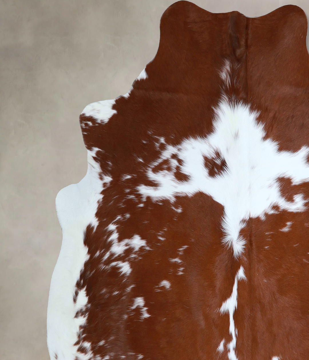 Brown and White X-Large Brazilian Cowhide Rug 6'7"H x 6'6"W #A43585 by