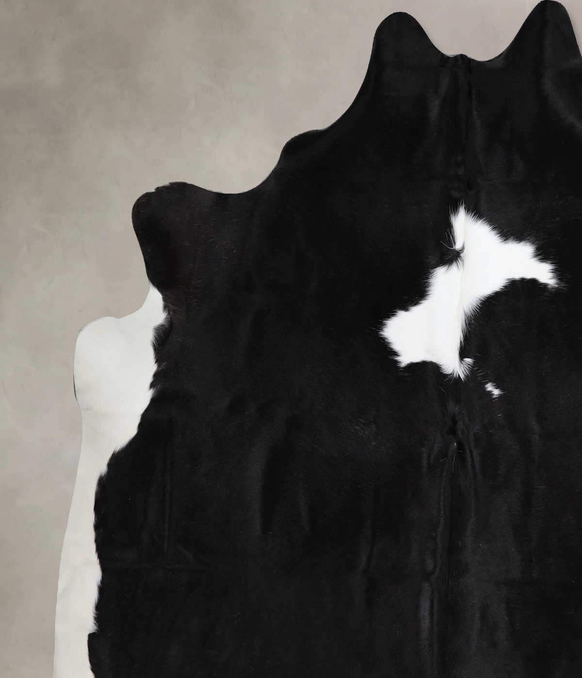 Black and White XX-Large Brazilian Cowhide Rug 7'2"H x 7'3"W #A43598 by Hudson Hides