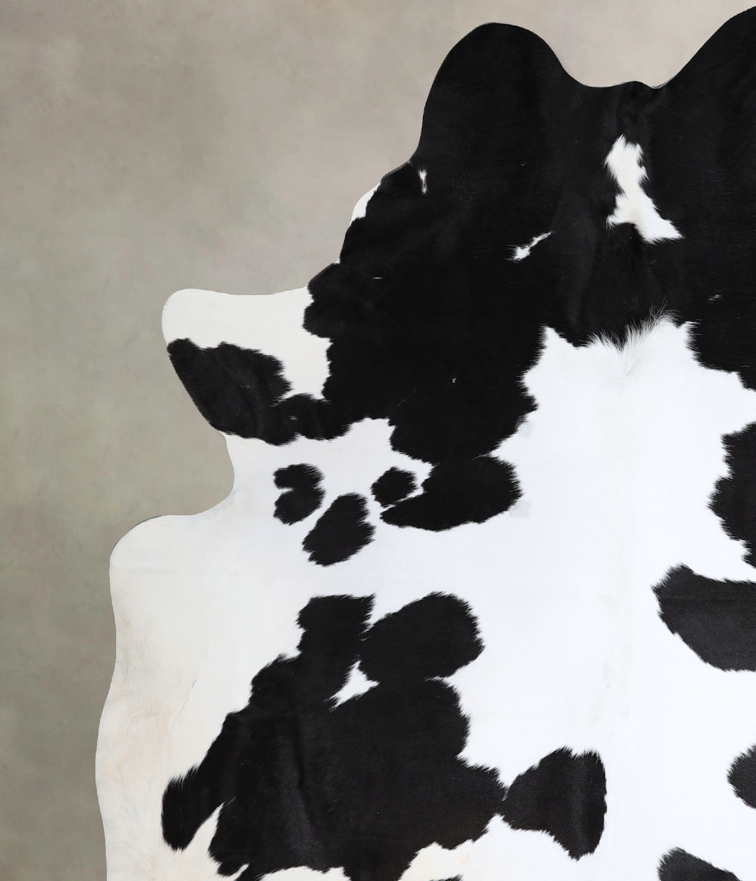 Black and White XX-Large Brazilian Cowhide Rug 7'10"H x 6'11"W #A43604