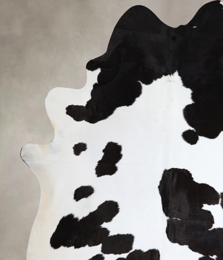 Black and White XX-Large Brazilian Cowhide Rug 7'11"H x 7'4"W #A43611 by Hudson Hides