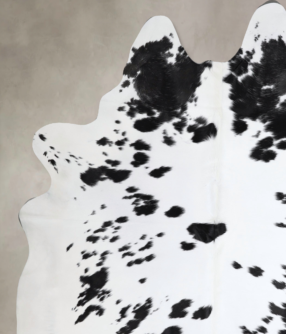 Black and White XX-Large Brazilian Cowhide Rug 7'10"H x 6'6"W #A43614 by Hudson Hides