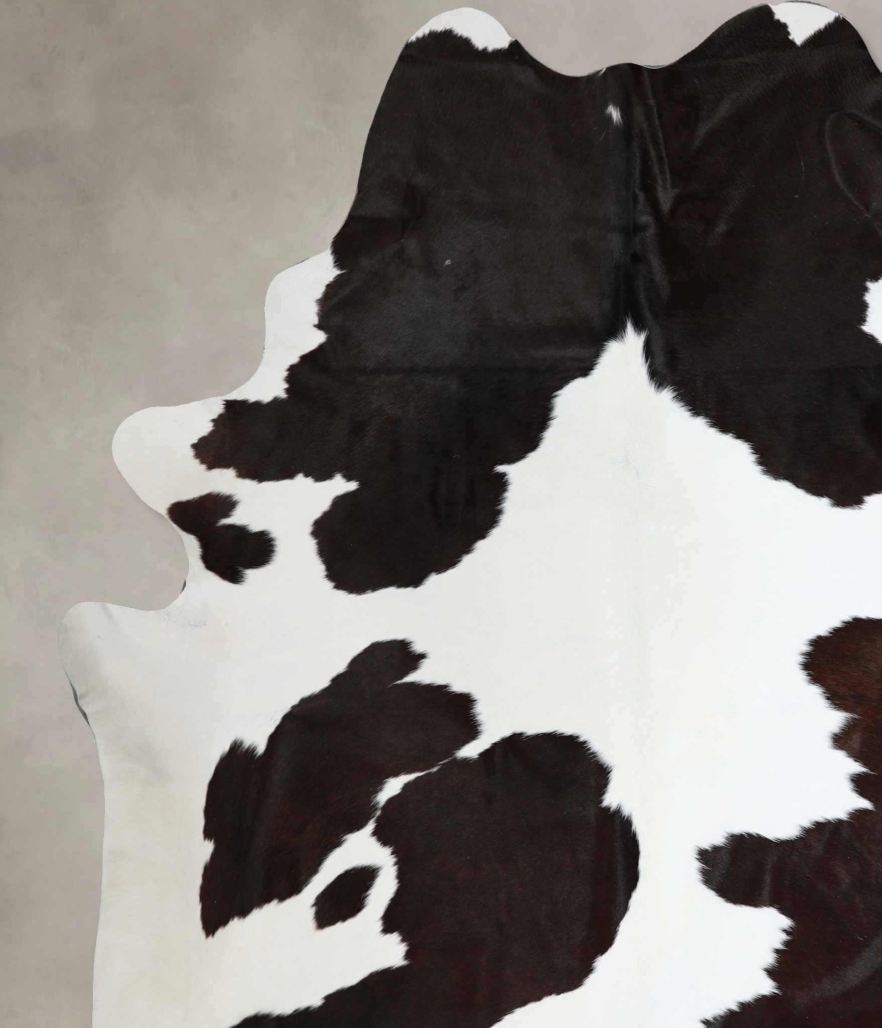Chocolate and White Cowhide Rug #A43656