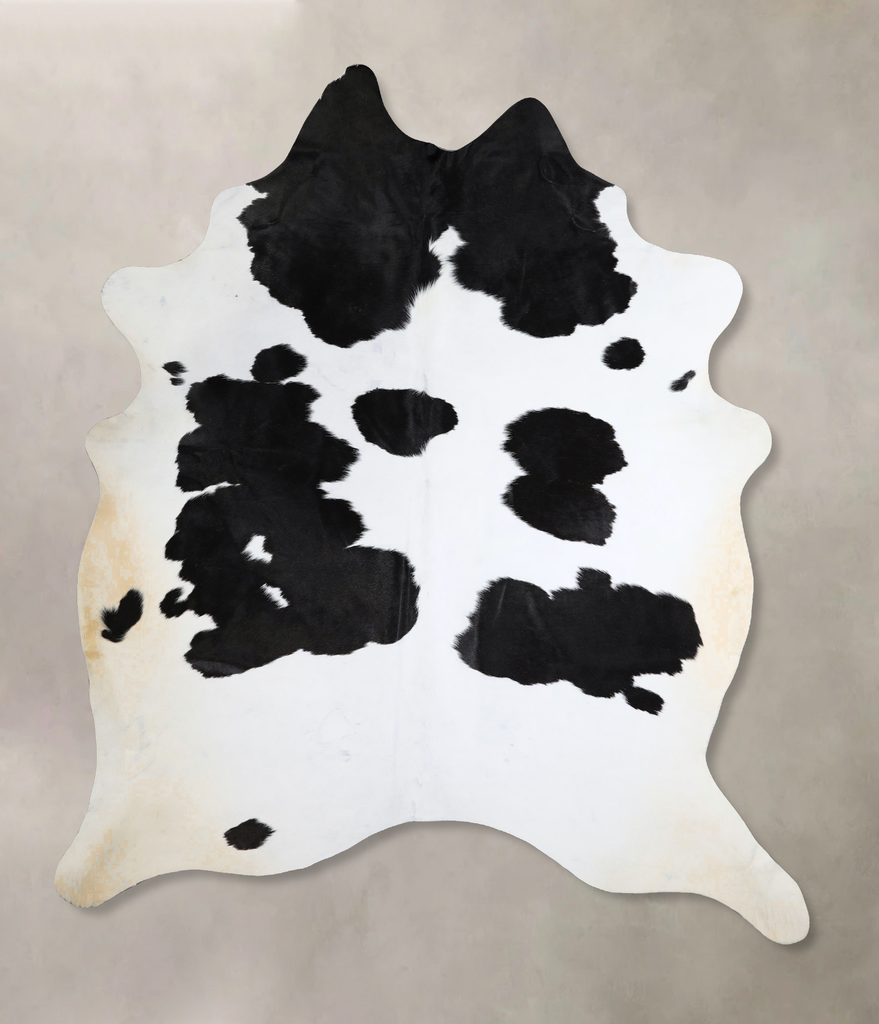 Black and White X-Large Brazilian Cowhide Rug 8'1"H x 6'1"W #A43658 by Hudson Hides