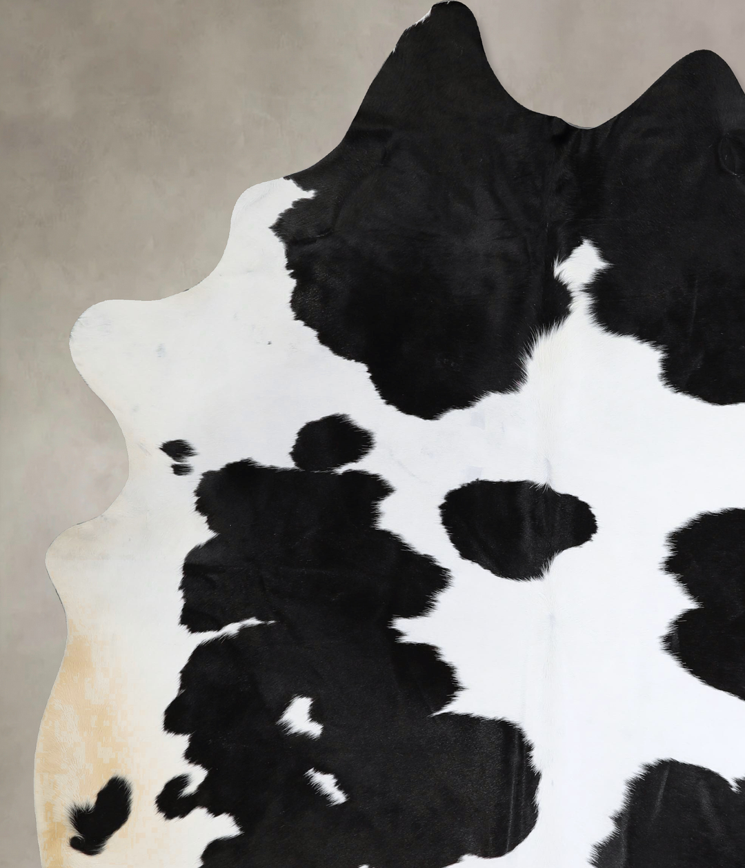 Black and White X-Large Brazilian Cowhide Rug 8'1"H x 6'1"W #A43658 by