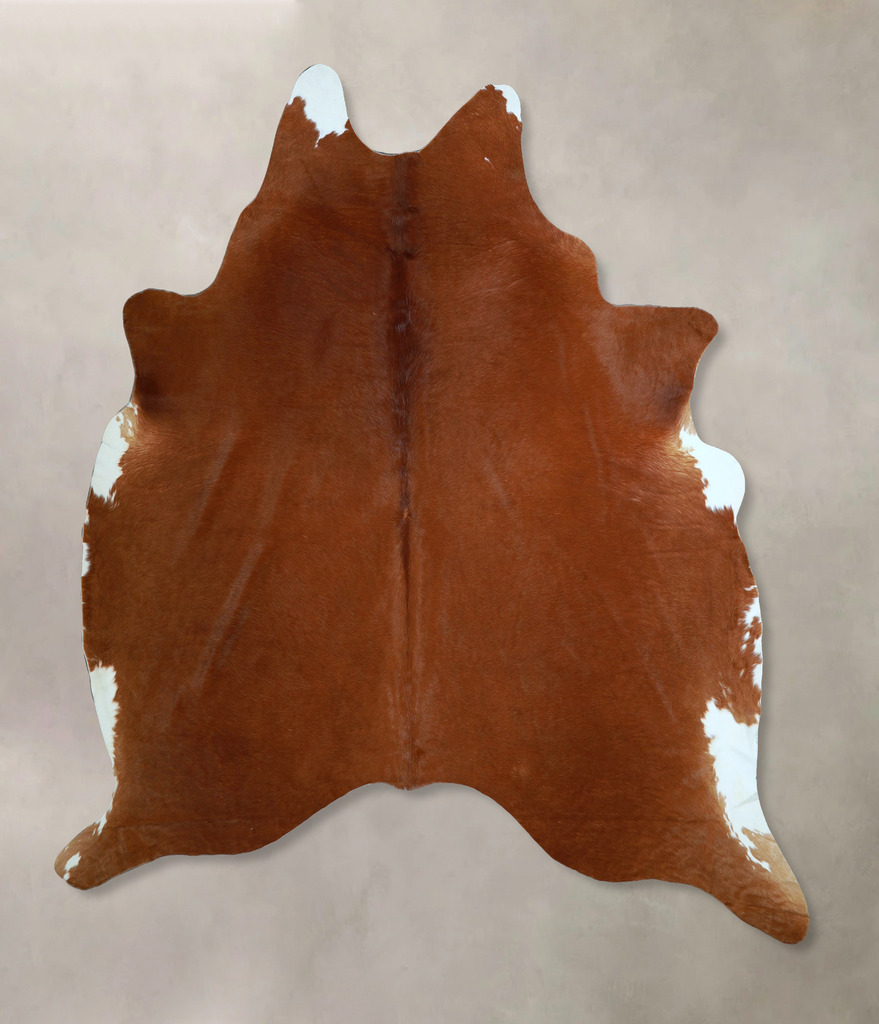 Solid Brown XX-Large Brazilian Cowhide Rug 7'6"H x 7'5"W #A43662 by Hudson Hides