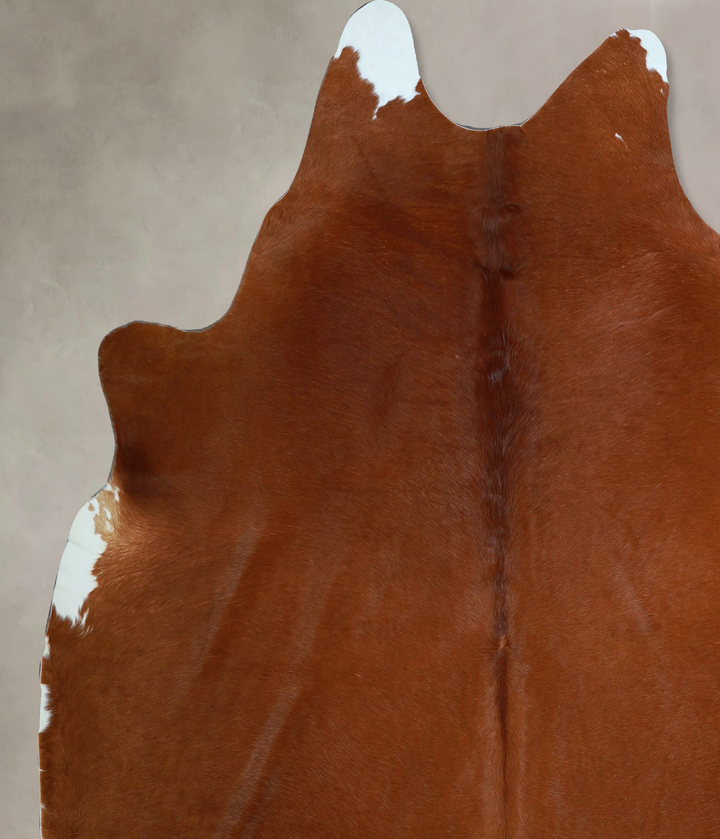 Solid Brown XX-Large Brazilian Cowhide Rug 7'6"H x 7'5"W #A43662 by Hudson Hides