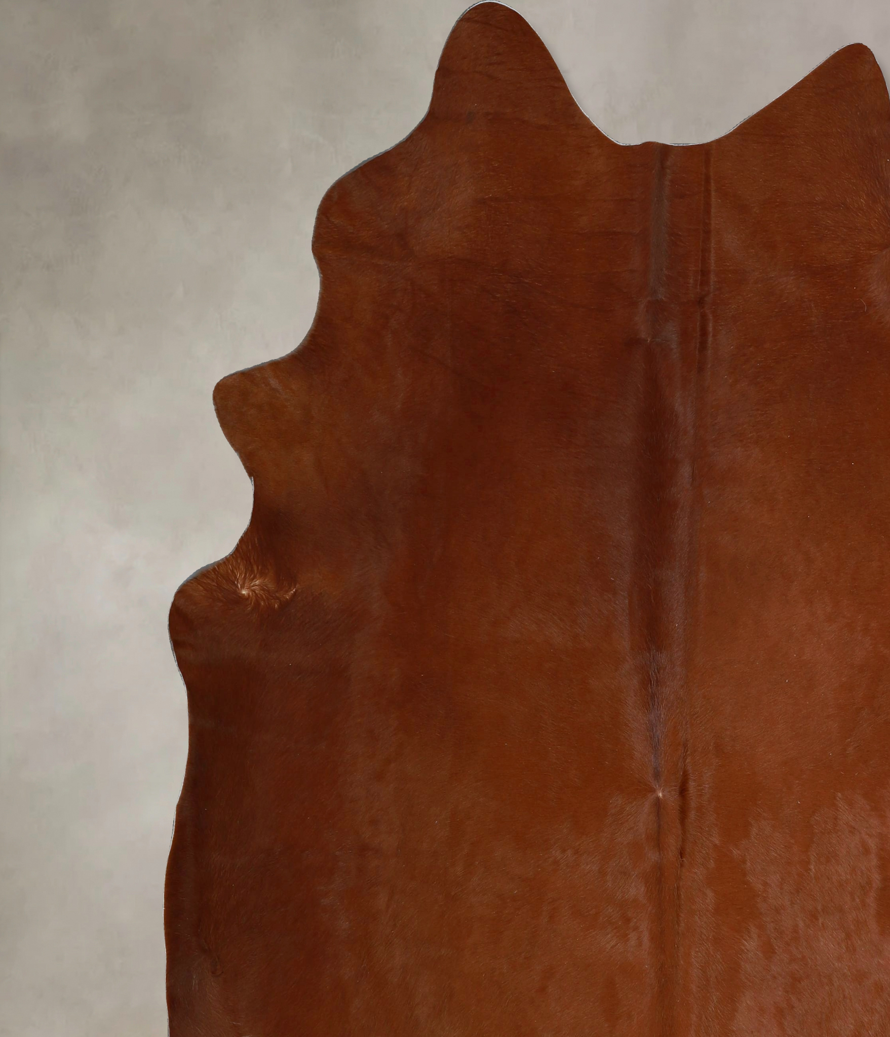 Solid Brown Cowhide Rug #A43664