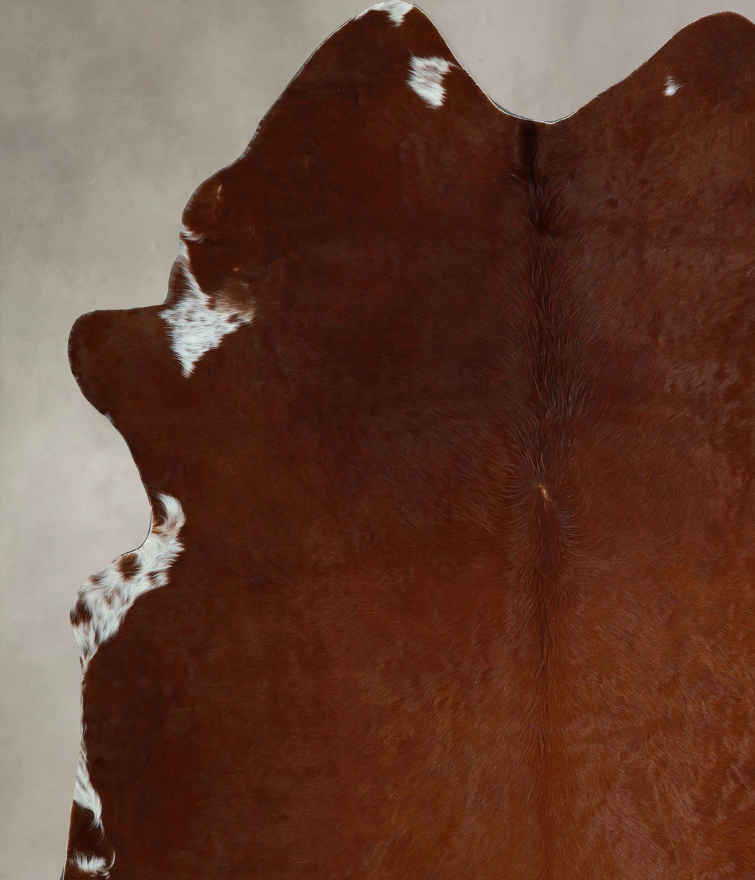 Solid Brown XX-Large Brazilian Cowhide Rug 7'8"H x 6'8"W #A43666 by Hu