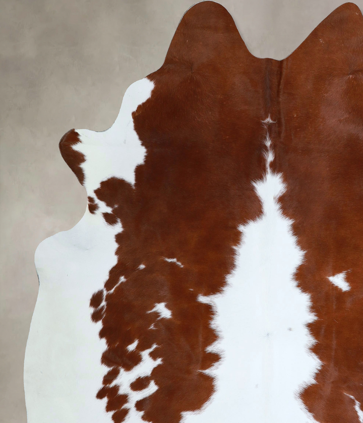 Brown and White X-Large Brazilian Cowhide Rug 6'11"H x 6'1"W #A43667 by Hudson Hides