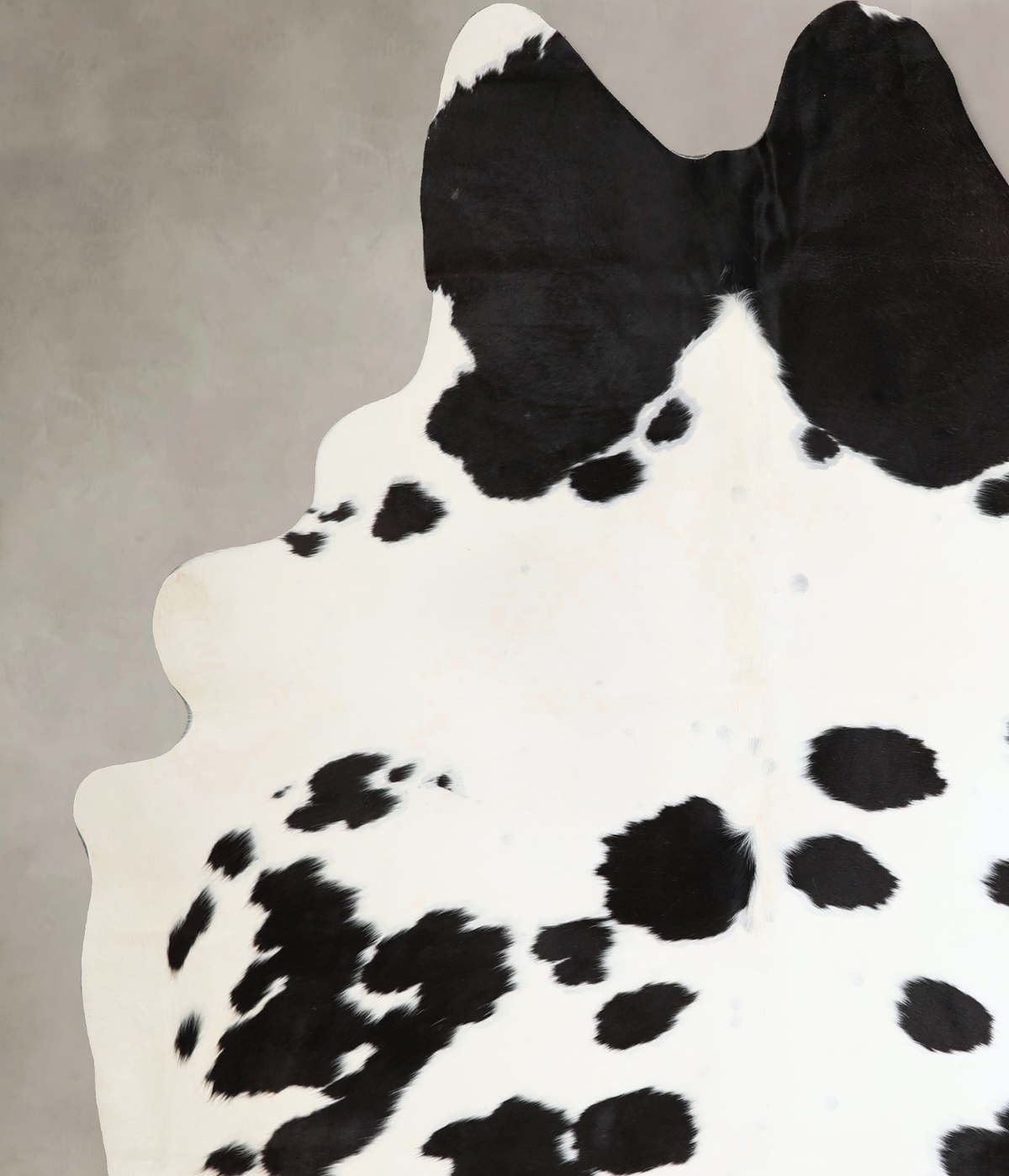 Black and White XX-Large Brazilian Cowhide Rug 8'1"H x 6'3"W #A43673 by Hudson Hides