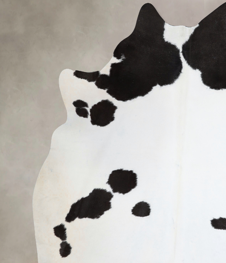 Black and White XX-Large Brazilian Cowhide Rug 7'9"H x 7'3"W #A43685 by Hudson Hides