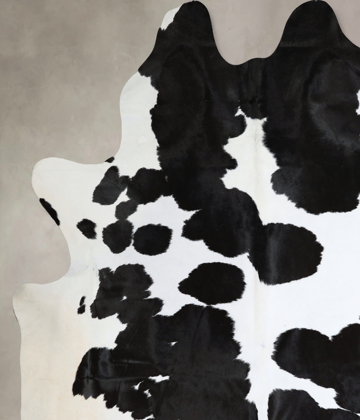 Black and White XX-Large Brazilian Cowhide Rug 8'9"H x 7'5"W #A43690 by Hudson Hides