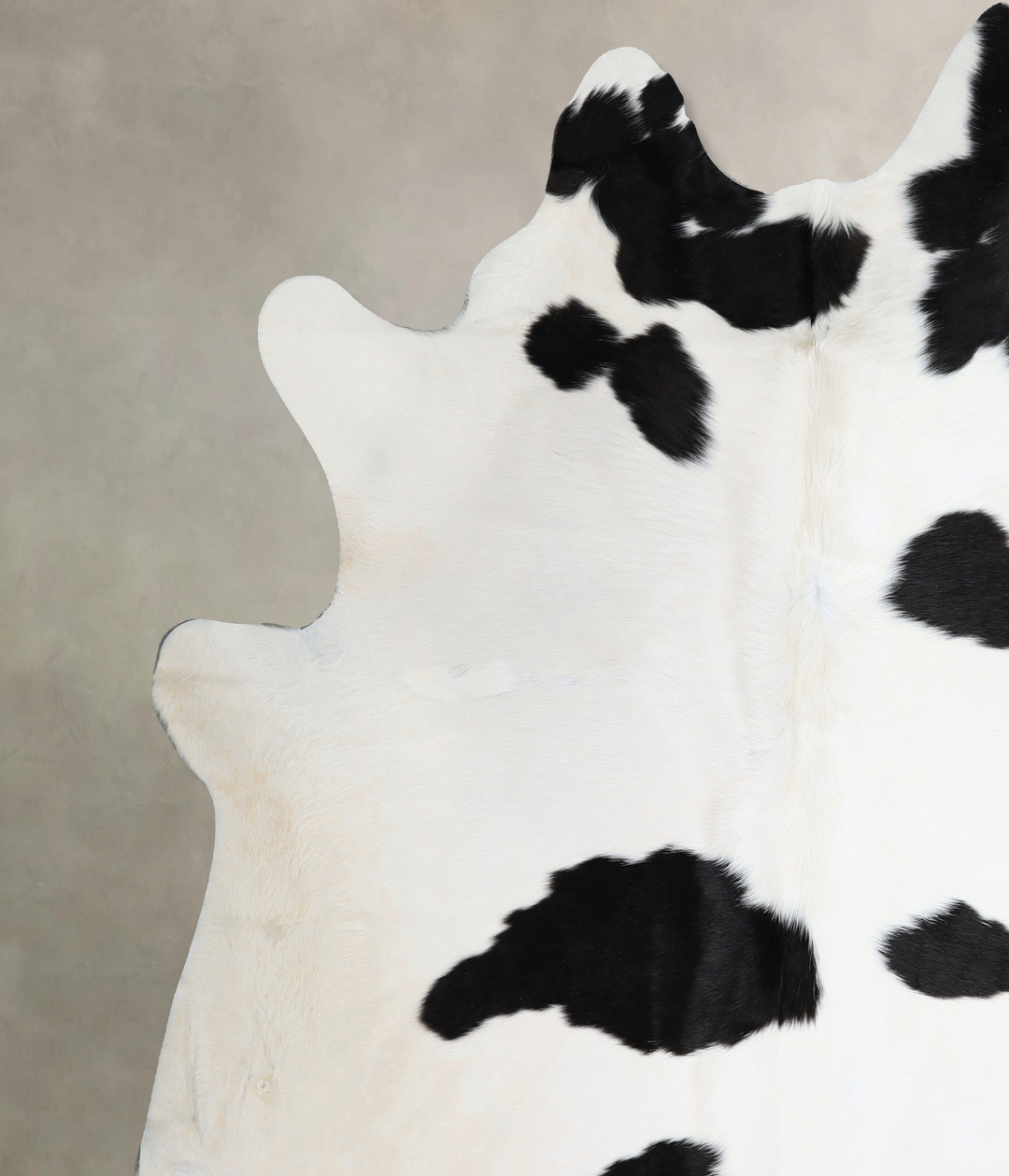 Black and White XX-Large Brazilian Cowhide Rug 7'5"H x 7'1"W #A43740 b