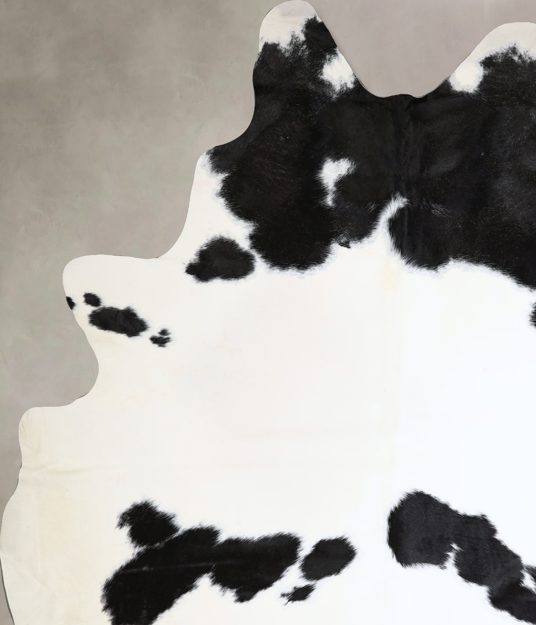 Black and White XX-Large Brazilian Cowhide Rug 9'2"H x 7'5"W #A43754 b