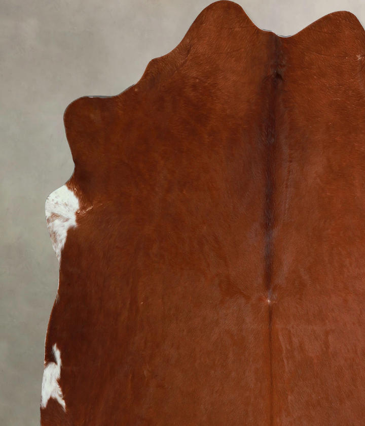 Solid Brown X-Large Brazilian Cowhide Rug 6'11"H x 6'7"W #A43784 by Hudson Hides