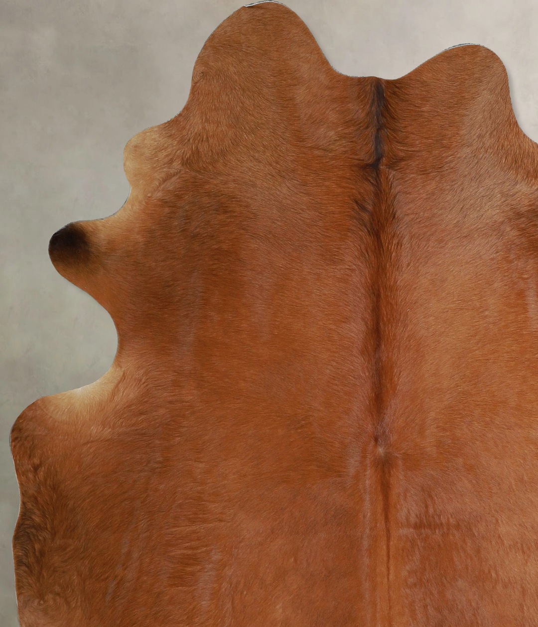 Solid Brown X-Large Brazilian Cowhide Rug 7'6"H x 6'0"W #A43785 by Hud