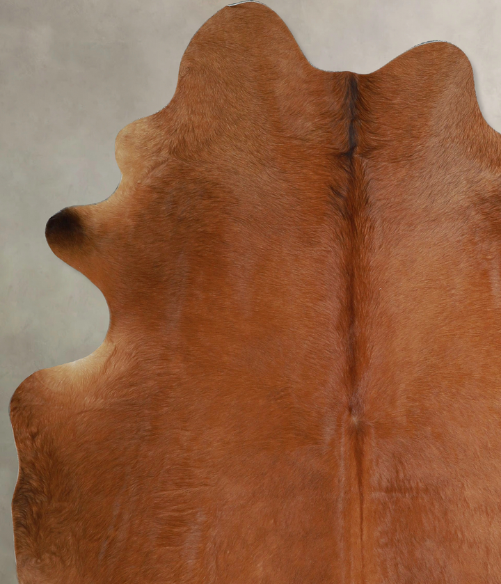 Solid Brown X-Large Brazilian Cowhide Rug 7'6"H x 6'0"W #A43785 by Hudson Hides