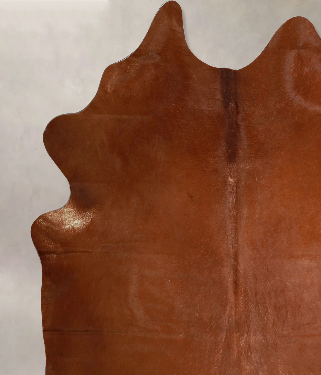Solid Brown X-Large Brazilian Cowhide Rug 7'2"H x 6'9"W #A43791 by Hud