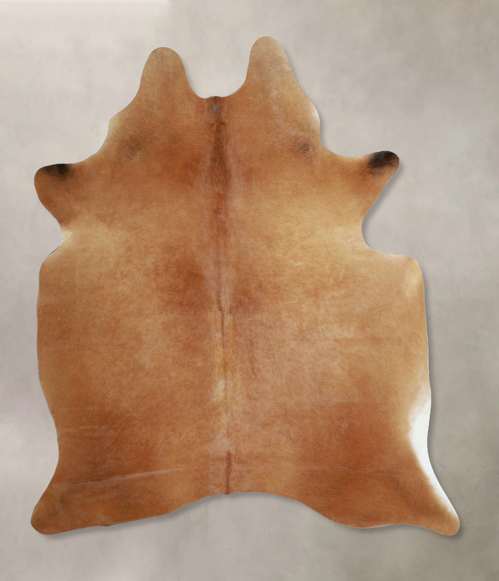 Solid Brown X-Large Brazilian Cowhide Rug 7'0"H x 5'8"W #A43796 by Hudson Hides