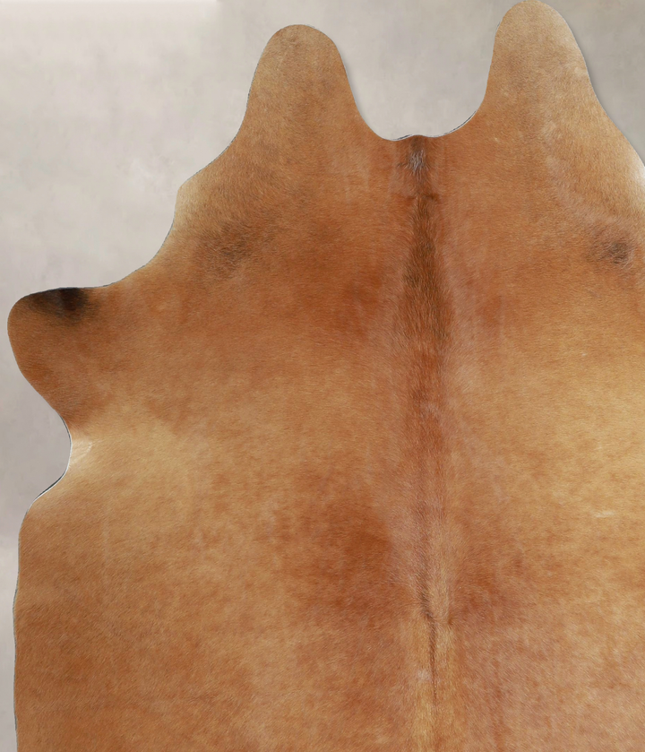 Solid Brown X-Large Brazilian Cowhide Rug 7'0"H x 5'8"W #A43796 by Hudson Hides
