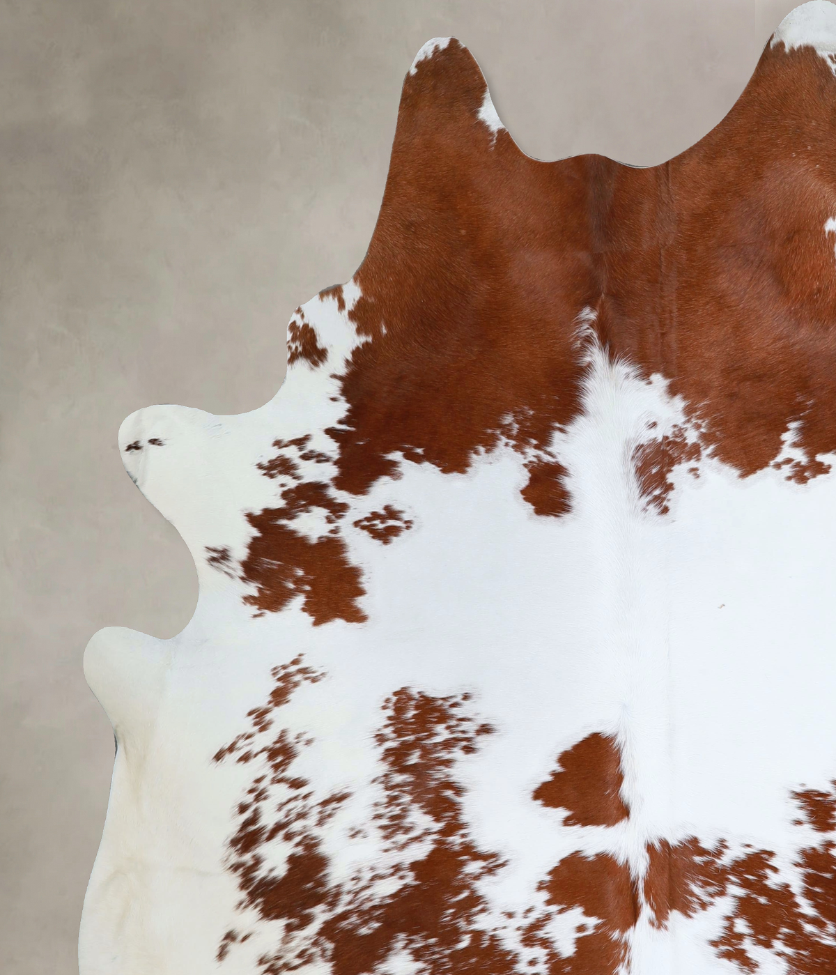 Brown and White XX-Large Brazilian Cowhide Rug 8'0"H x 6'11"W #A43814 by Hudson Hides