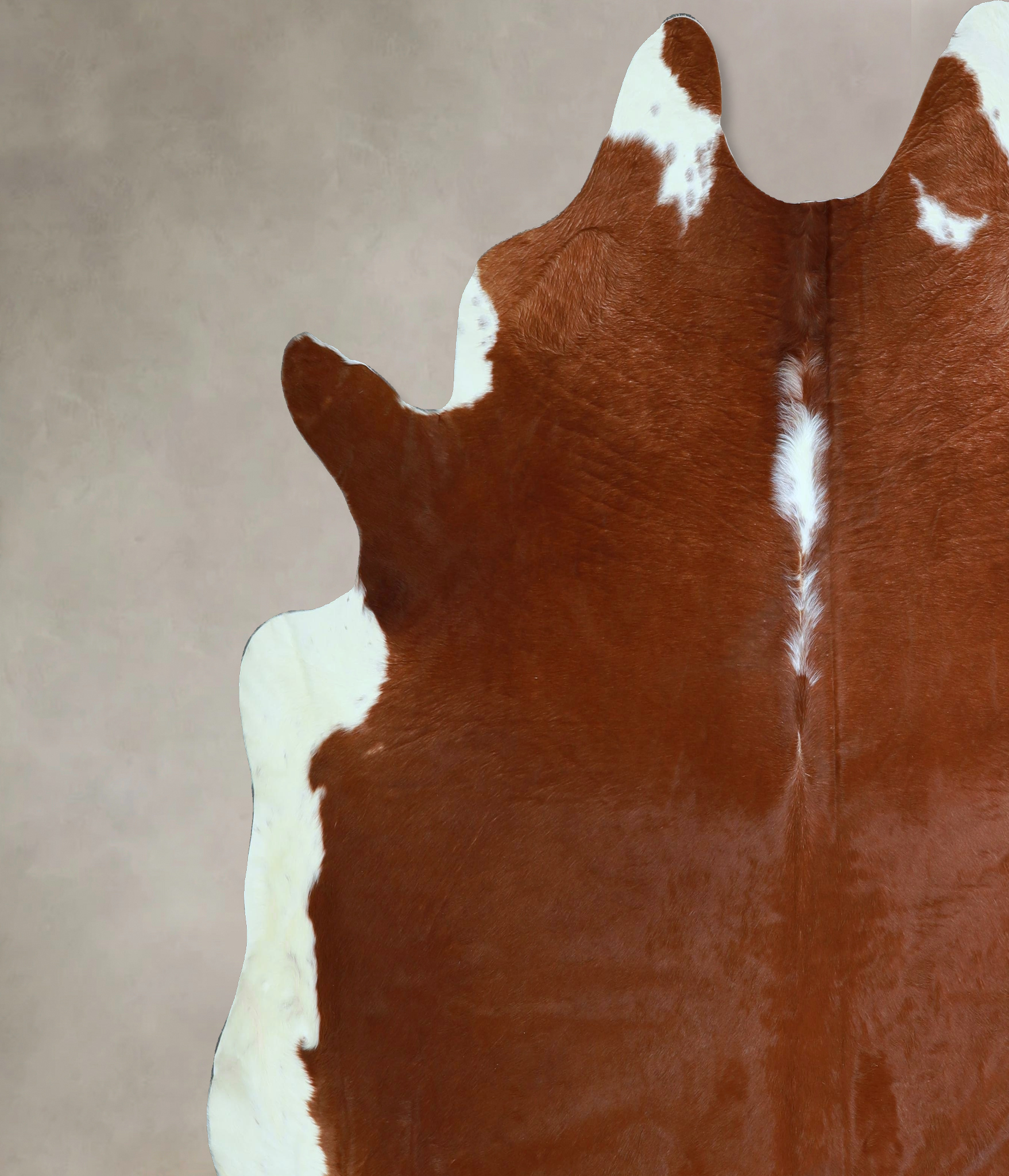 Brown and White Regular Cowhide Rug #A43820