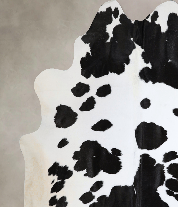 Black and White XX-Large Brazilian Cowhide Rug 8'1"H x 7'10"W #A43823 by Hudson Hides