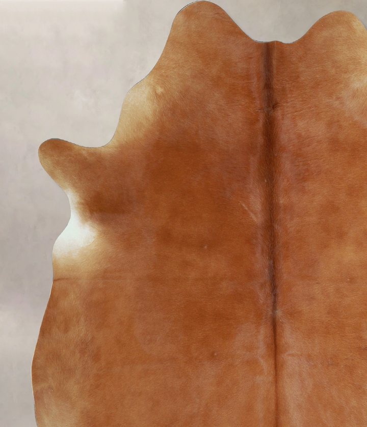 Solid Brown X-Large Brazilian Cowhide Rug 6'10"H x 6'0"W #A43838 by Hudson Hides