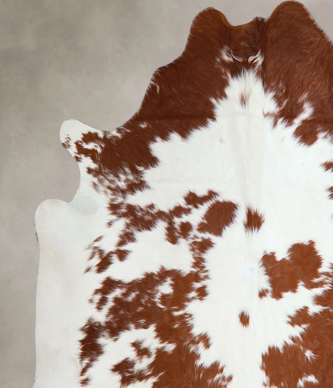 Brown and White X-Large Brazilian Cowhide Rug 6'8"H x 6'9"W #A43879 by