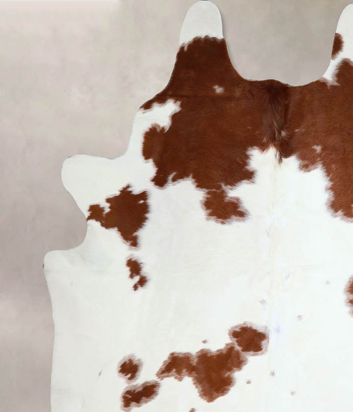 Brown and White XX-Large Brazilian Cowhide Rug 8'2"H x 7'4"W #A43880 by Hudson Hides