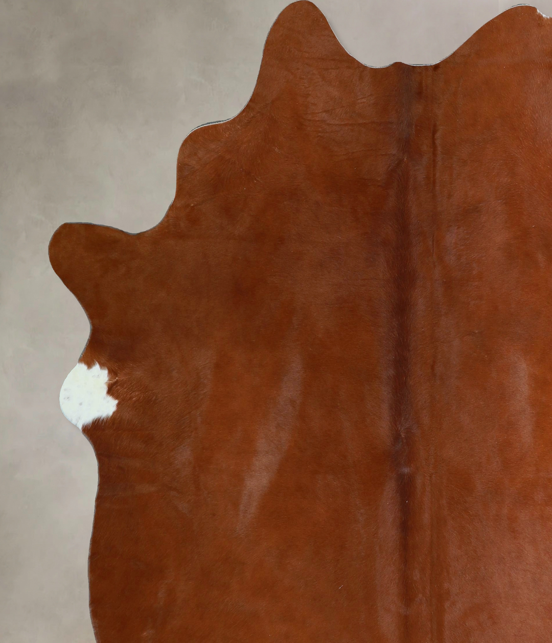 Solid Brown X-Large Brazilian Cowhide Rug 7'2"H x 5'11"W #A43882 by Hu