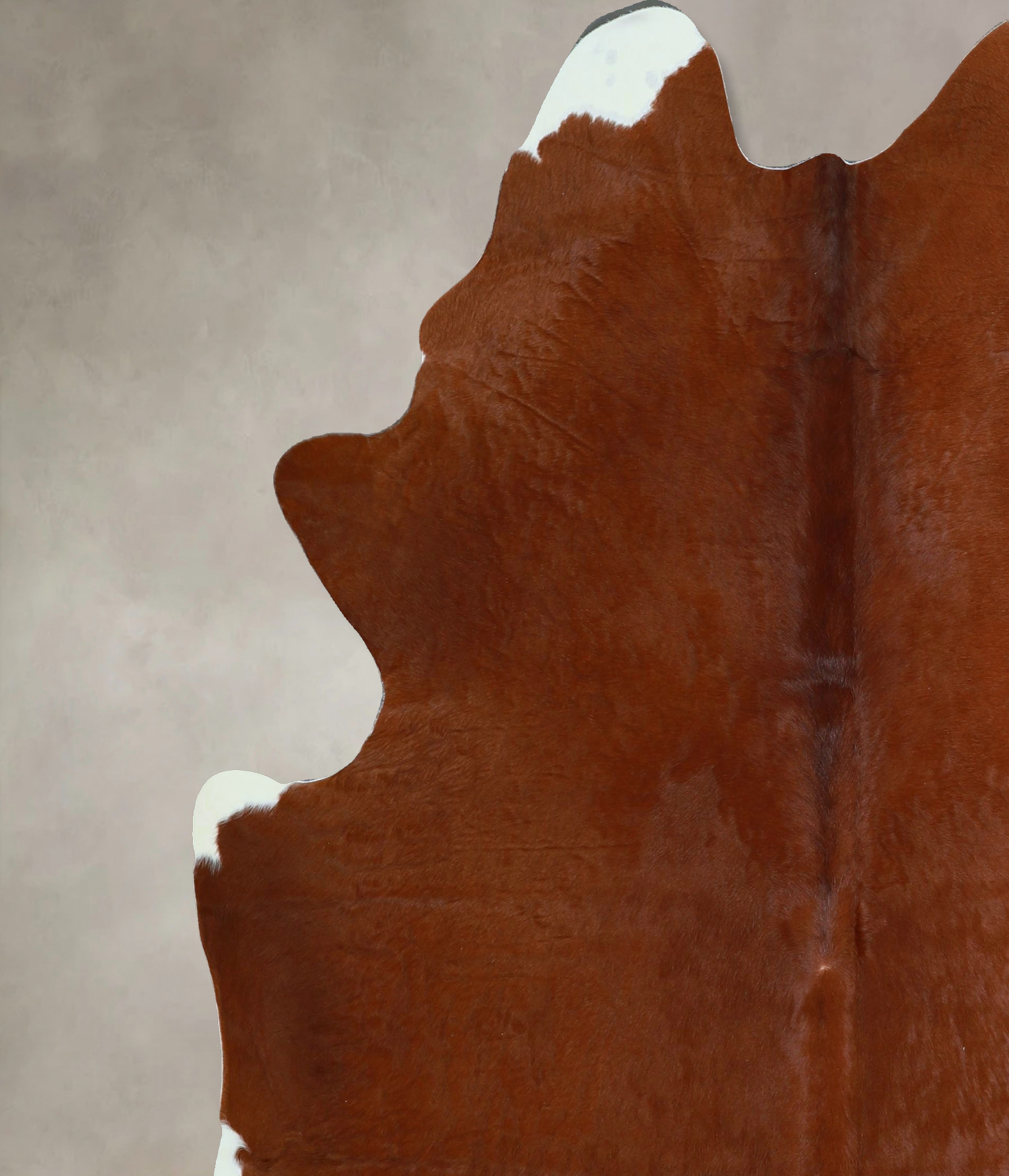 Solid Brown Cowhide Rug #A43885