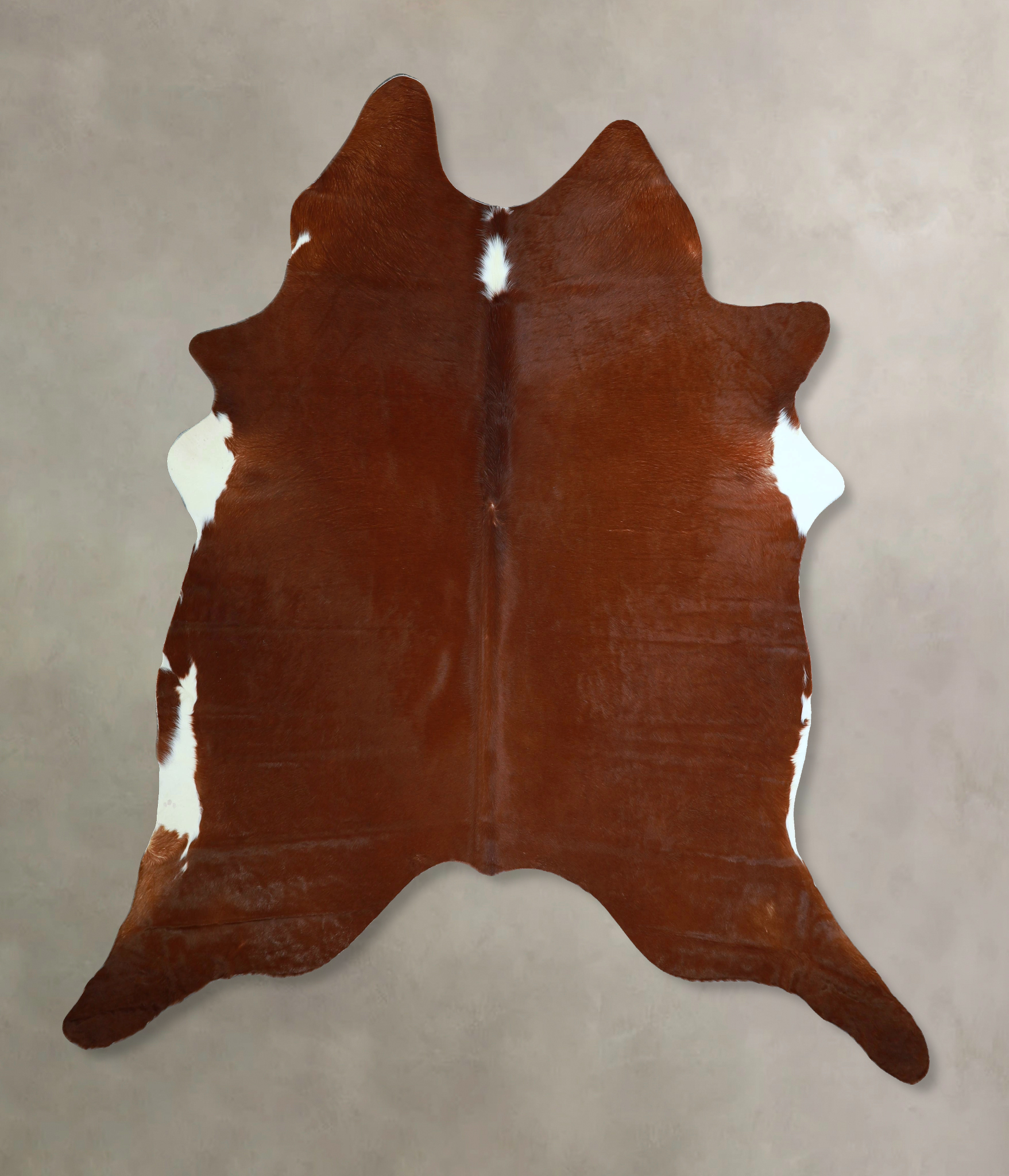 Brown and White Regular Cowhide Rug #A43895