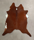 Brown and White Regular XX-Large Brazilian Cowhide Rug 8'0"H x 7'0"W #A43895 by Hudson Hides
