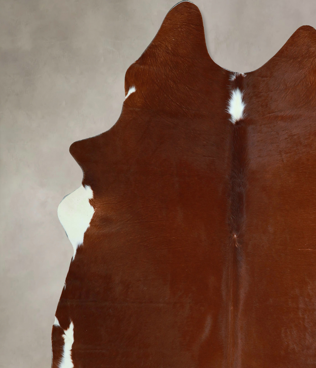 Brown and White Regular XX-Large Brazilian Cowhide Rug 8'0"H x 7'0"W #
