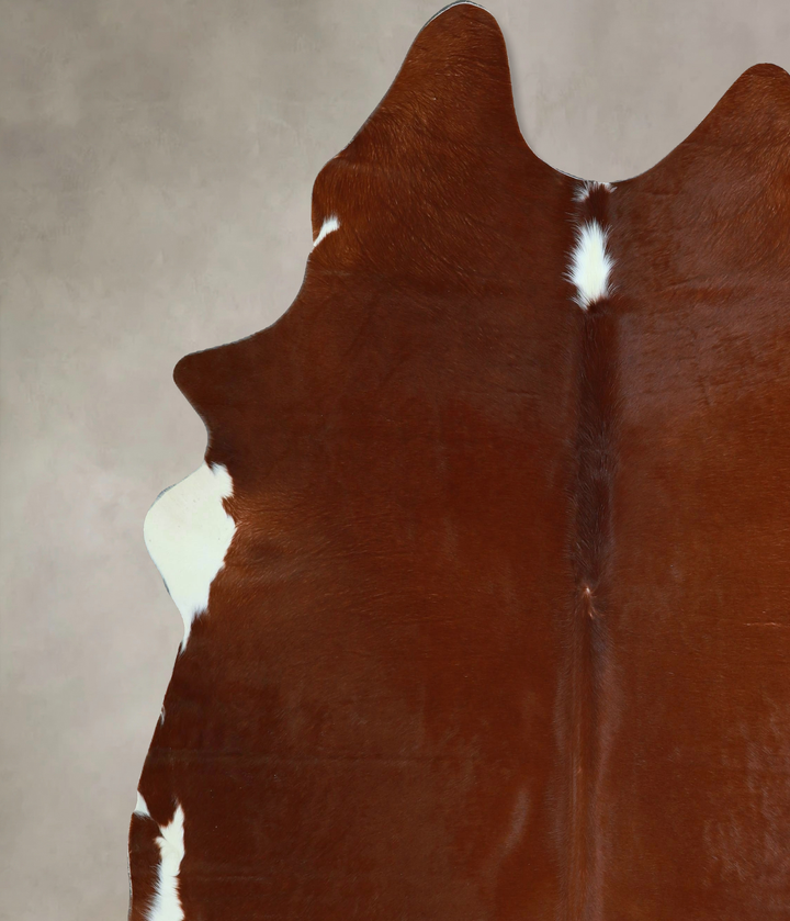 Brown and White Regular XX-Large Brazilian Cowhide Rug 8'0"H x 7'0"W #A43895 by Hudson Hides