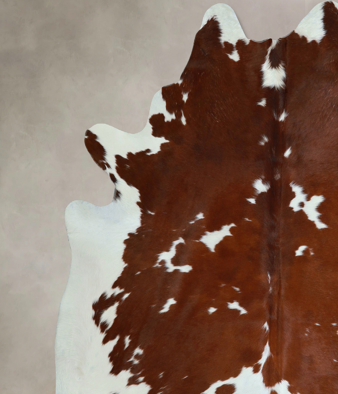 Brown and White XX-Large Brazilian Cowhide Rug 7'8"H x 6'7"W #A43901 b
