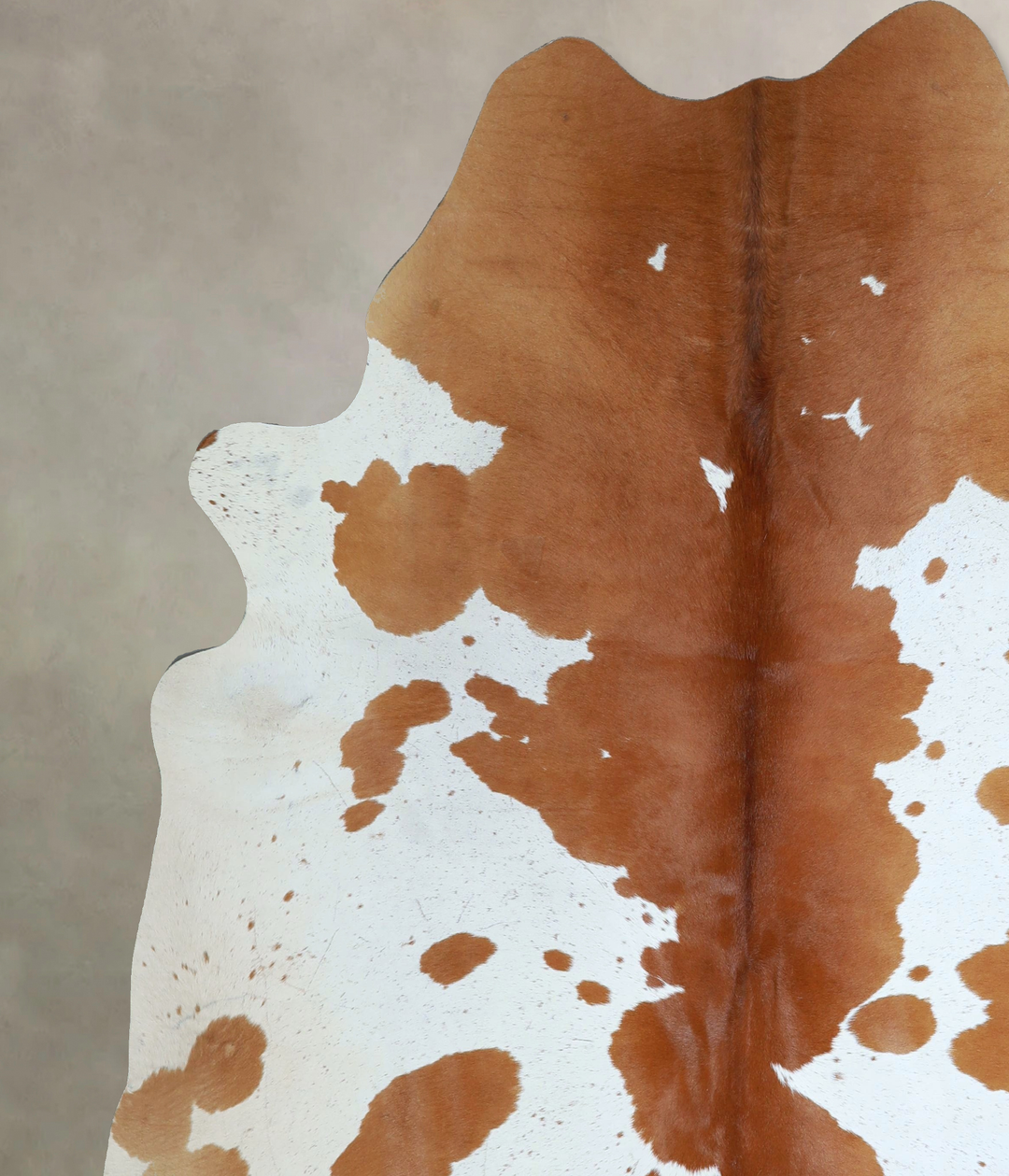 Brown and White XX-Large Brazilian Cowhide Rug 8'0"H x 7'3"W #A43909 b
