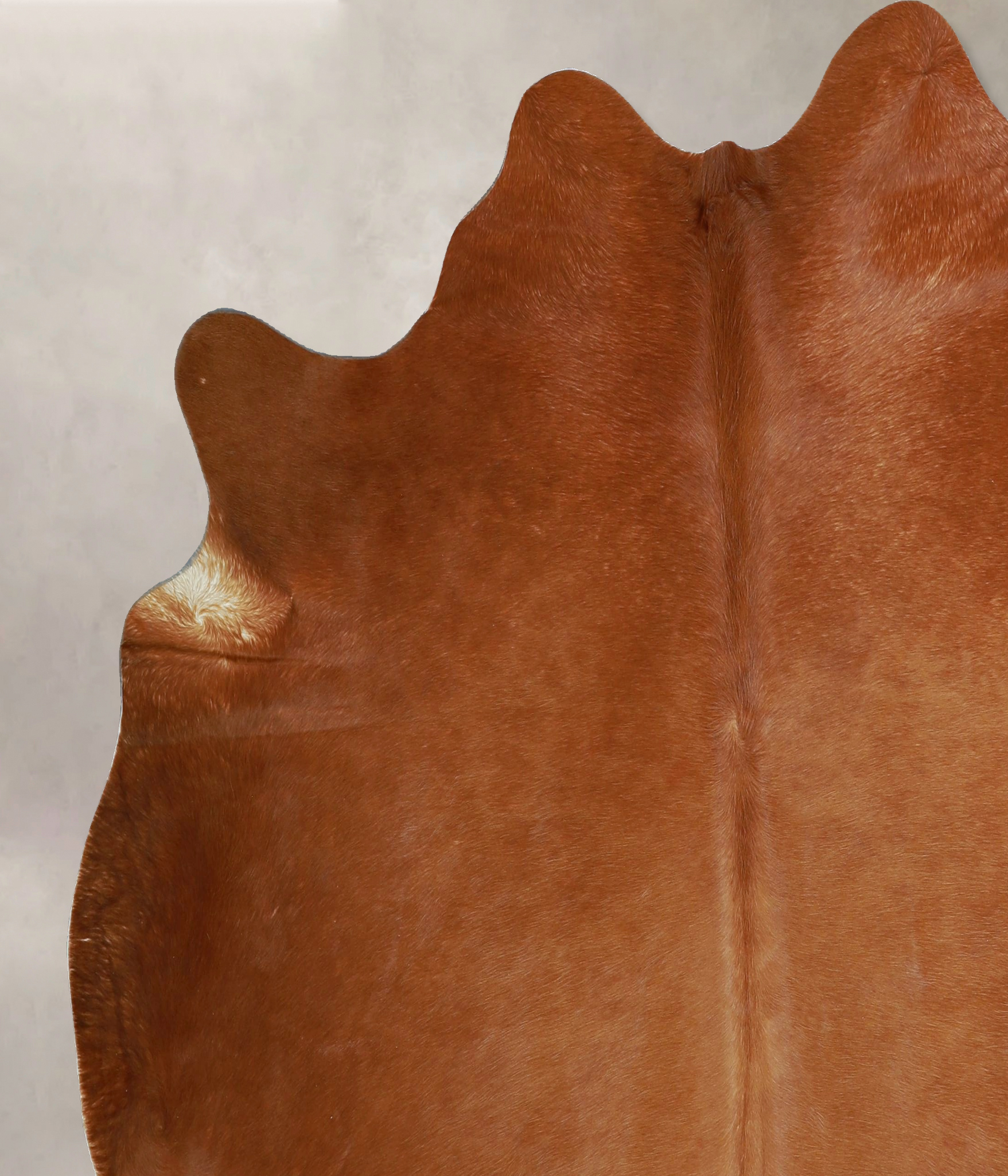 Solid Brown Cowhide Rug #A43920