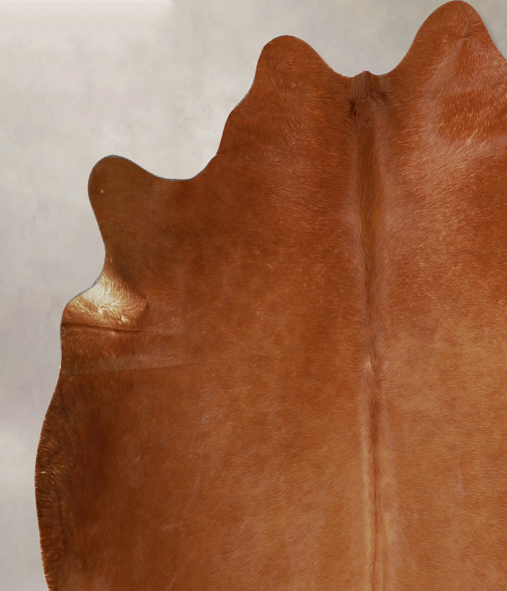 Solid Brown X-Large Brazilian Cowhide Rug 6'5"H x 6'9"W #A43920 by Hudson Hides