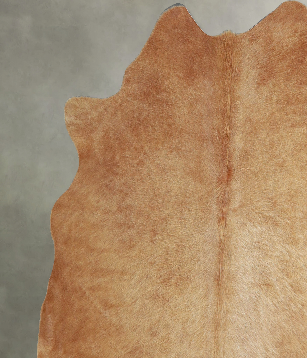 Beige X-Large Brazilian Cowhide Rug 6'4"H x 6'9"W #A43929 by Hudson Hides