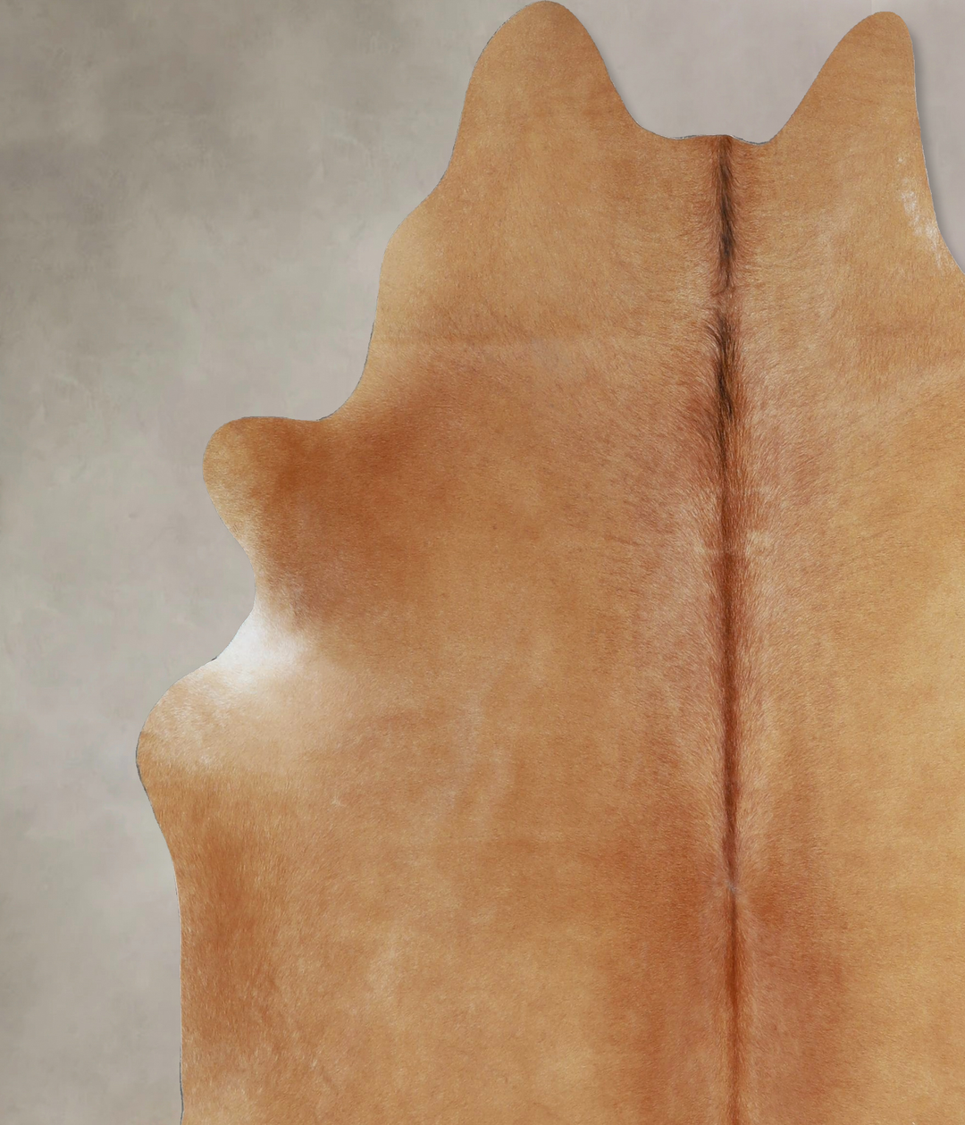 Beige X-Large Brazilian Cowhide Rug 6'11"H x 6'2"W #A43932 by Hudson H
