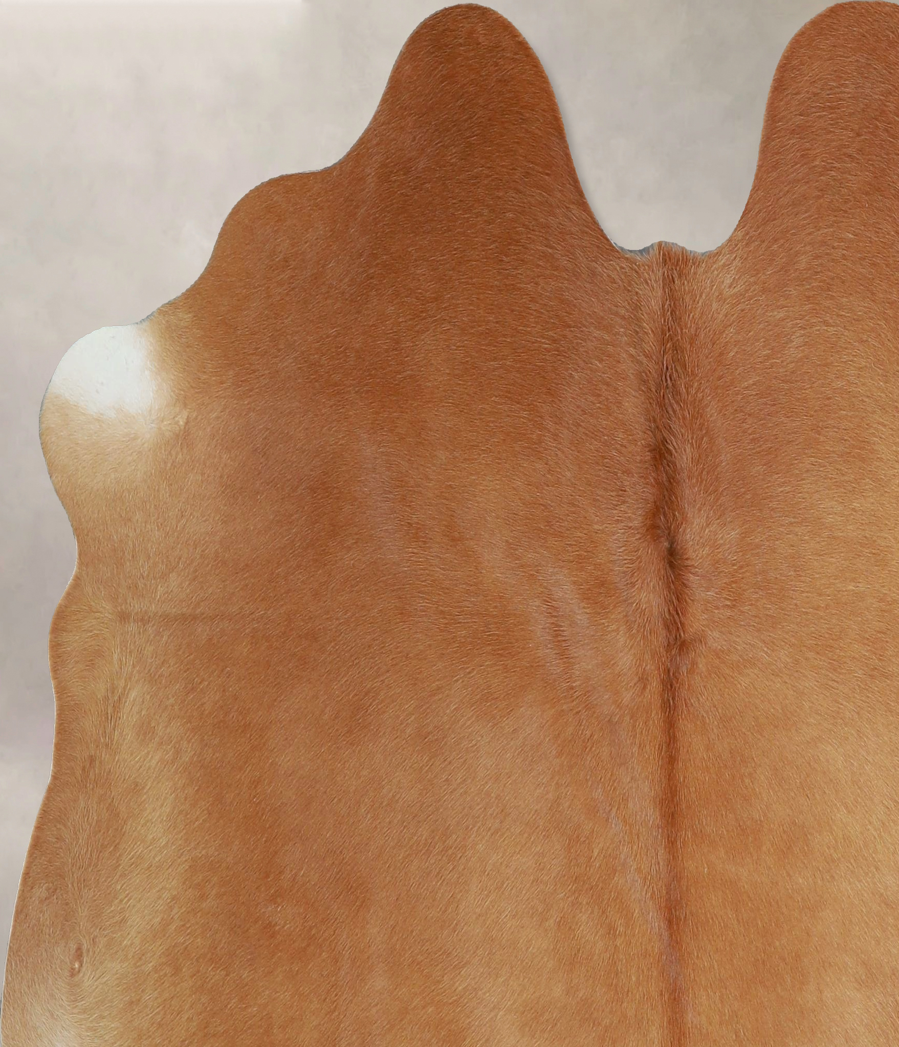 Beige Cowhide Rug #A43934